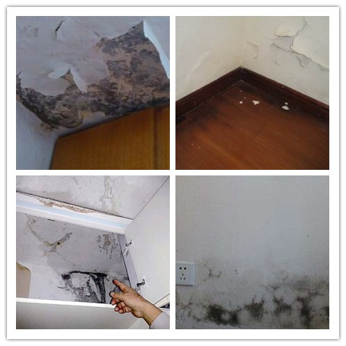 防水保护要到位，365bet体育在线注册_365 体育投注_123656的网站怎么开www防水杜绝家装渗漏